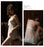 VenusFox French Lace Sexy Girl Underwear Strap Nightgown Tulle Nightdress Night Dress Lace Sleepwear Nightwear Woman Sleeping Dress