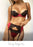 VenusFox 3 Piece Set Women Underwear Sexy Bra Panties Garter Sets Push Up Lace Lingerie For Women Satin Fabric Bra Free Shipping