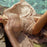 VenusFox In-X Sexy gold swimsuit cover ups women Summer beach dress Strap belt cover up Kaftan Ladies kimono Bat sleeve Beach wear bather
