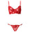 VenusFox Women Sexy Lingeries Lace Transparent Briefs Push Up Gather Bra Set Lady G-string Panties