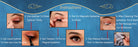 VenusFox Free Shipping Magnet Eyelashes Natural Set Glue-Free Magnetic 1 Liquid 5 Pairs Handmade Stereo Eyelashes Factory Direct Sales