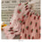 VenusFox Strawberry Dress Women French Style Lace Chiffon Sweet Dress Casual Puff Sleeve Elegant Printed Kawaii Dress Women