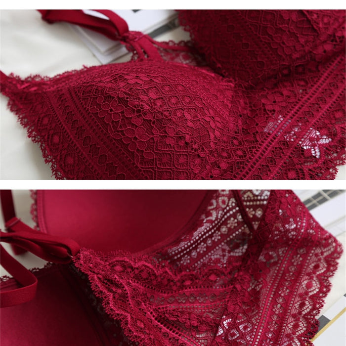 VenusFox Sexy Embroidery Lace Bra Set Lingerie Plus Size
