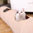 Pet Tunnel Long 120cm 2 Holes Cat Teaser Hide Tunnel Toys With Ball Collapsible Cat Tunnel
