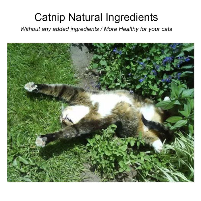 Natural & Healthy Edible Catnip Toy For Cats & Kittens Promotes Teeth Cleaning