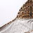 VenusFox Leopard Printed Sexy Crop Top