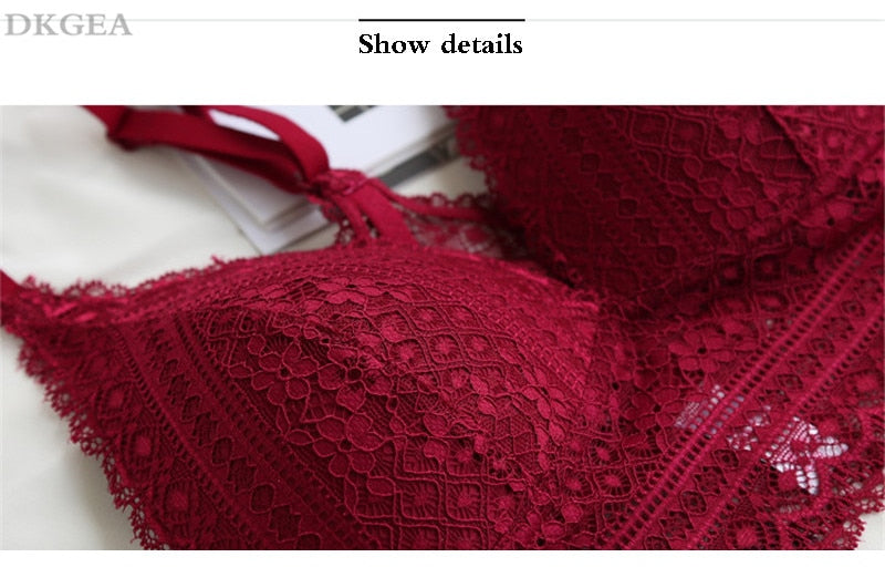VenusFox Sexy Embroidery Lace Bra Set Lingerie Plus Size