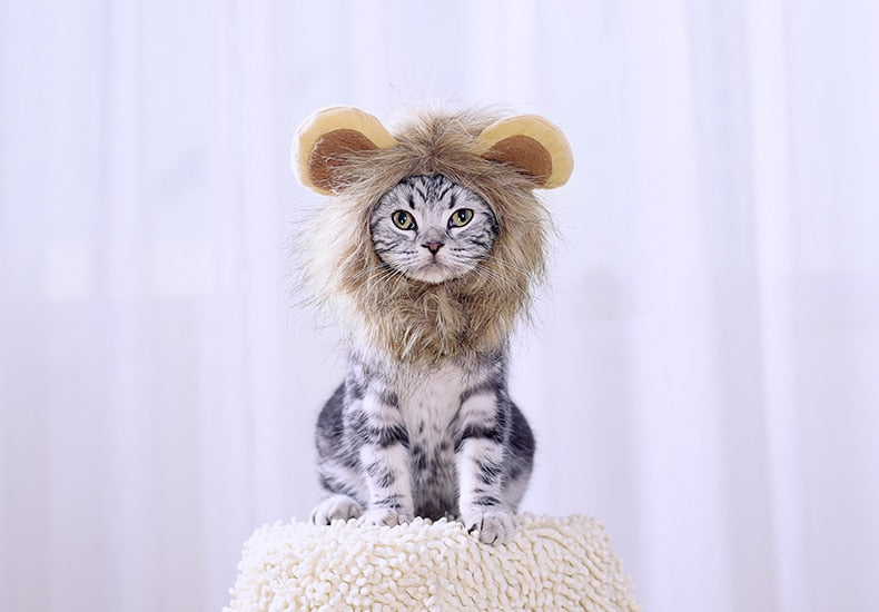 Hoopet Pet Cat Cap Funny Hat Lion Wig Hat Party Costume Accessory Head Wear