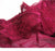 VenusFox Lace Sexy Push-up Bra Panty Sets